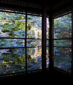 京都観光で瑠璃光院を撮影